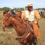 The Great Florida Cattle Drive 2016